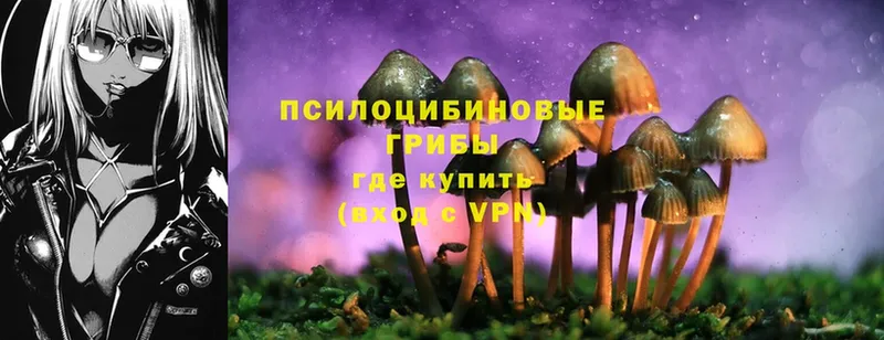 Псилоцибиновые грибы Magic Shrooms Истра